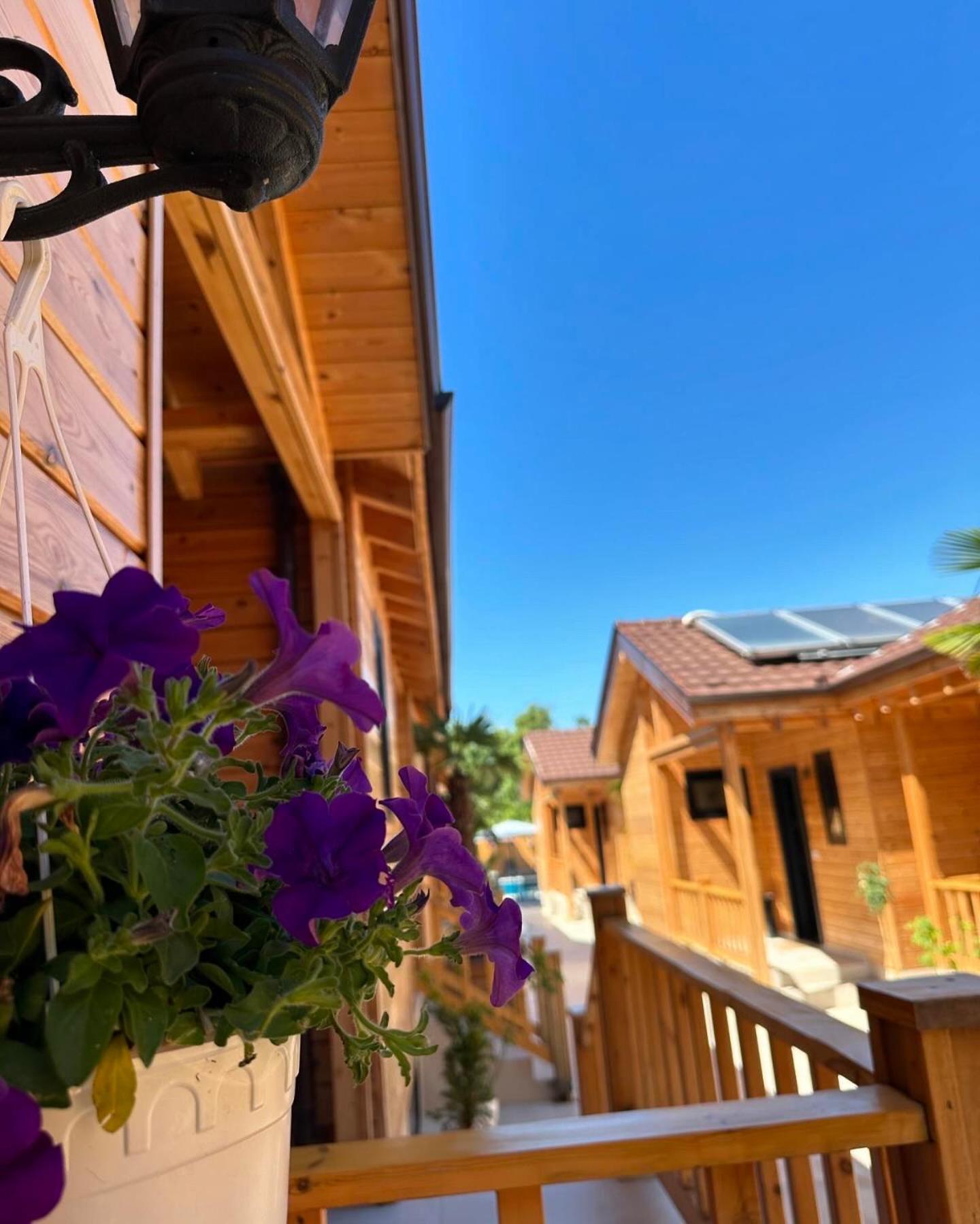 Bujtina Siar Hotel Pogradec Exterior foto